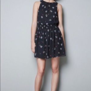 Zara black skulls dress
